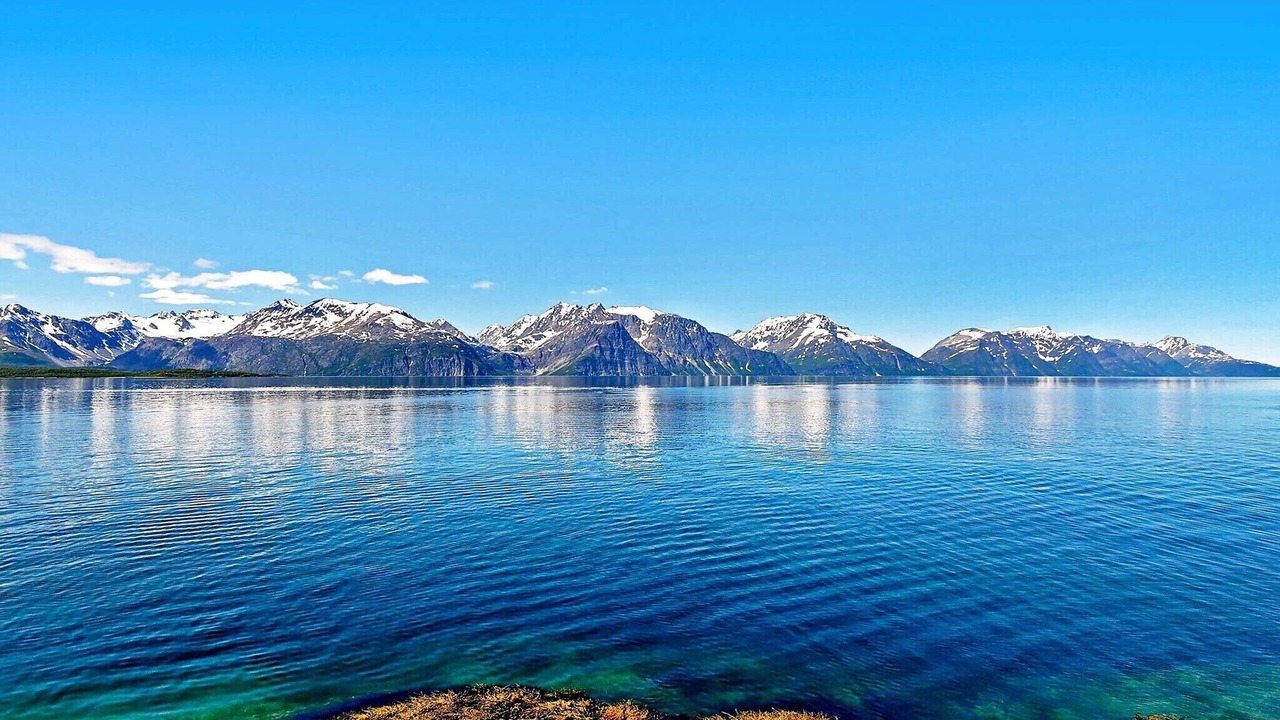 Photo of Others in Lyngen