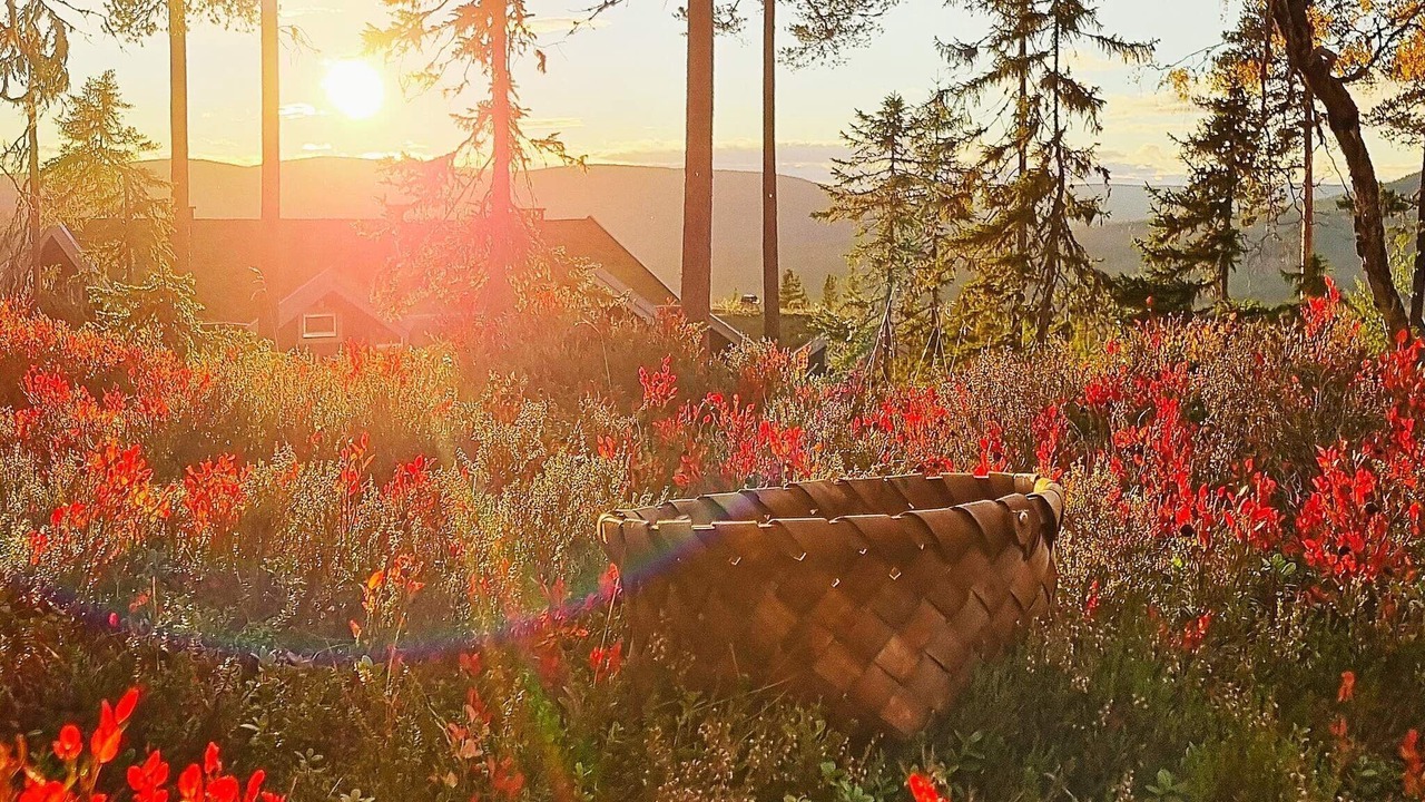 Photo of Outdoor in Stoten