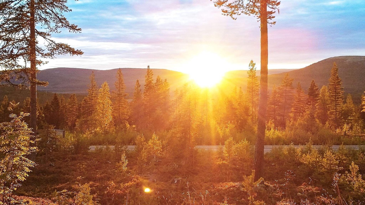 Photo of Others in Stoten