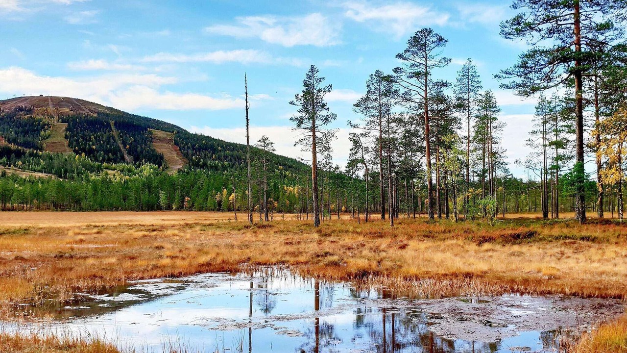 Photo of Others in Stoten