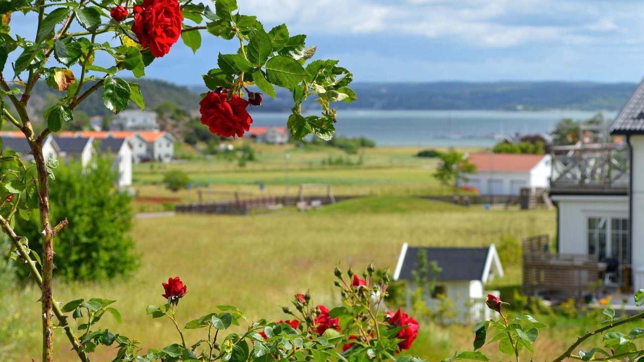 Photo of Outdoor in Hoviksnas