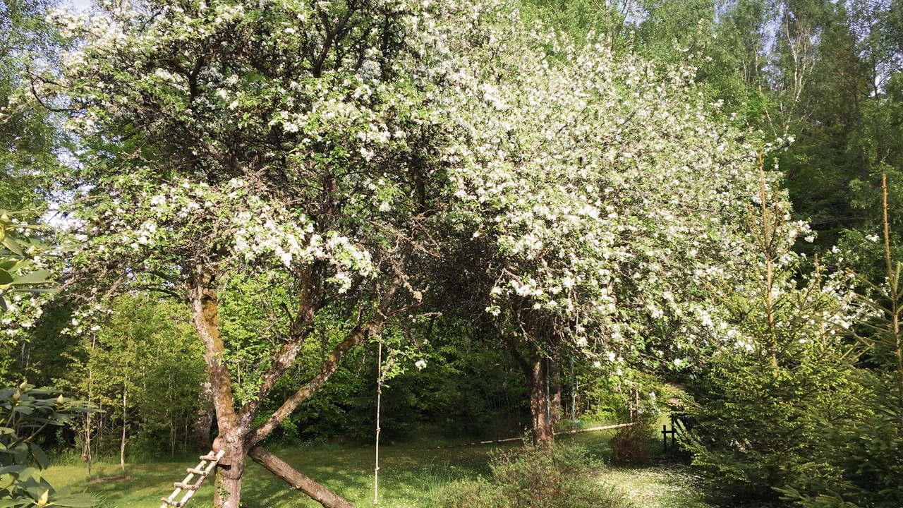 Photo of Outdoor in Markaryd Municipality