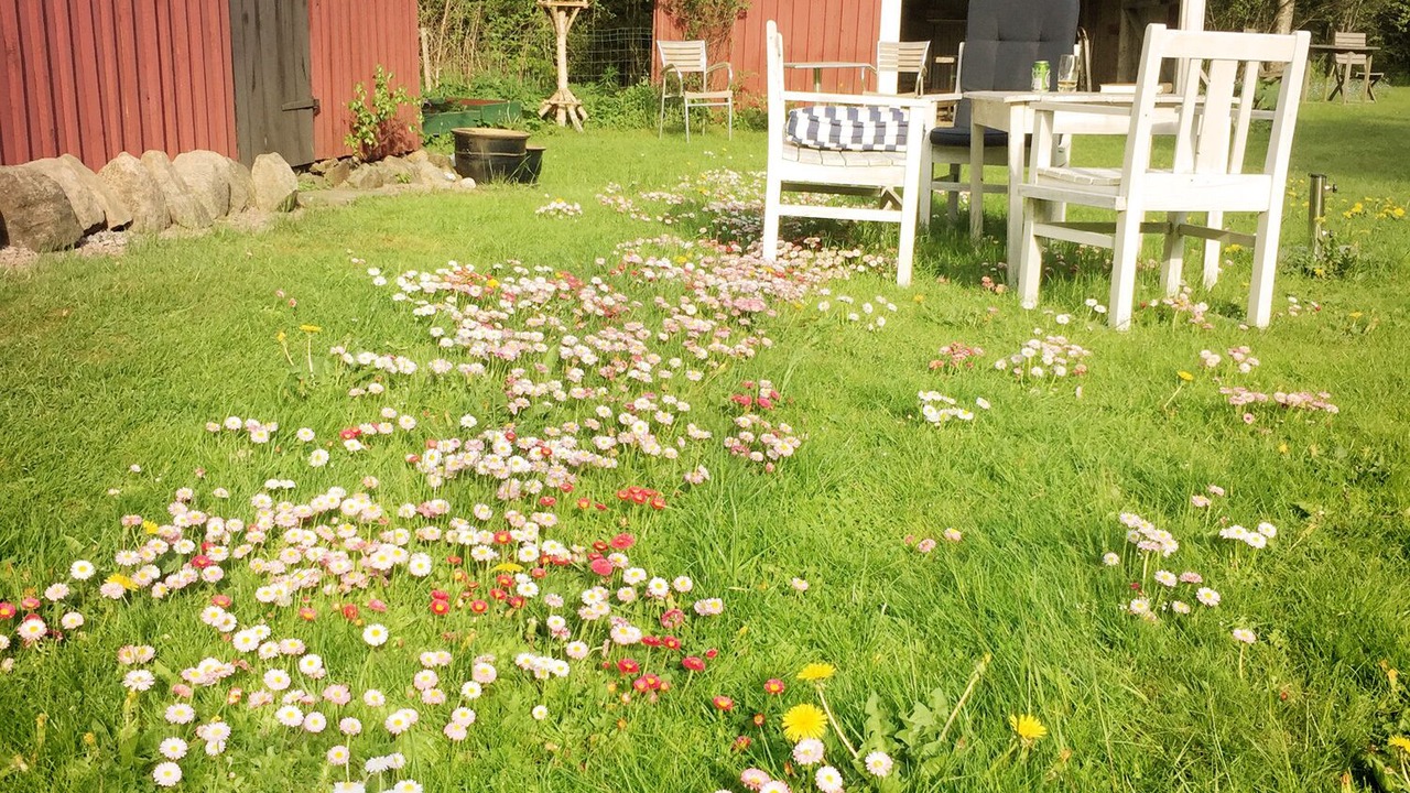 Photo of Outdoor in Markaryd Municipality