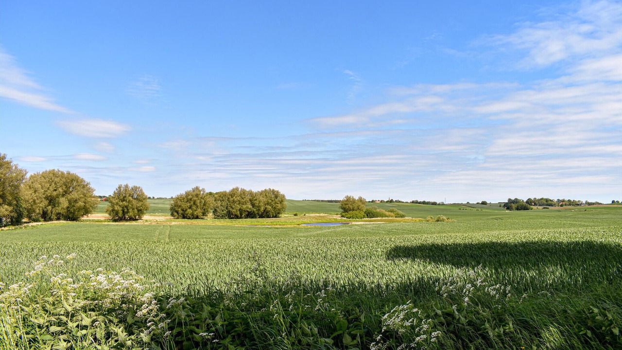 Photo of Others in Ystad