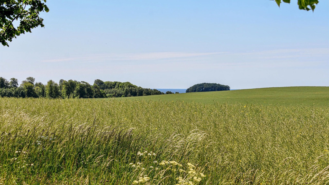 Photo of Others in Ystad