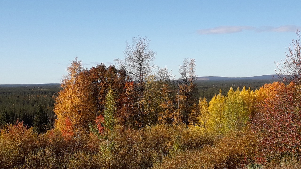 Photo of Outdoor in Nattavaara