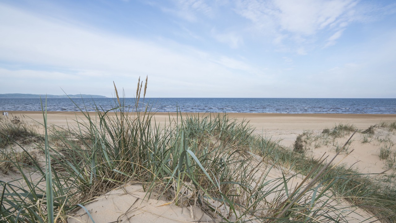 Photo of Others in Mellbystrand