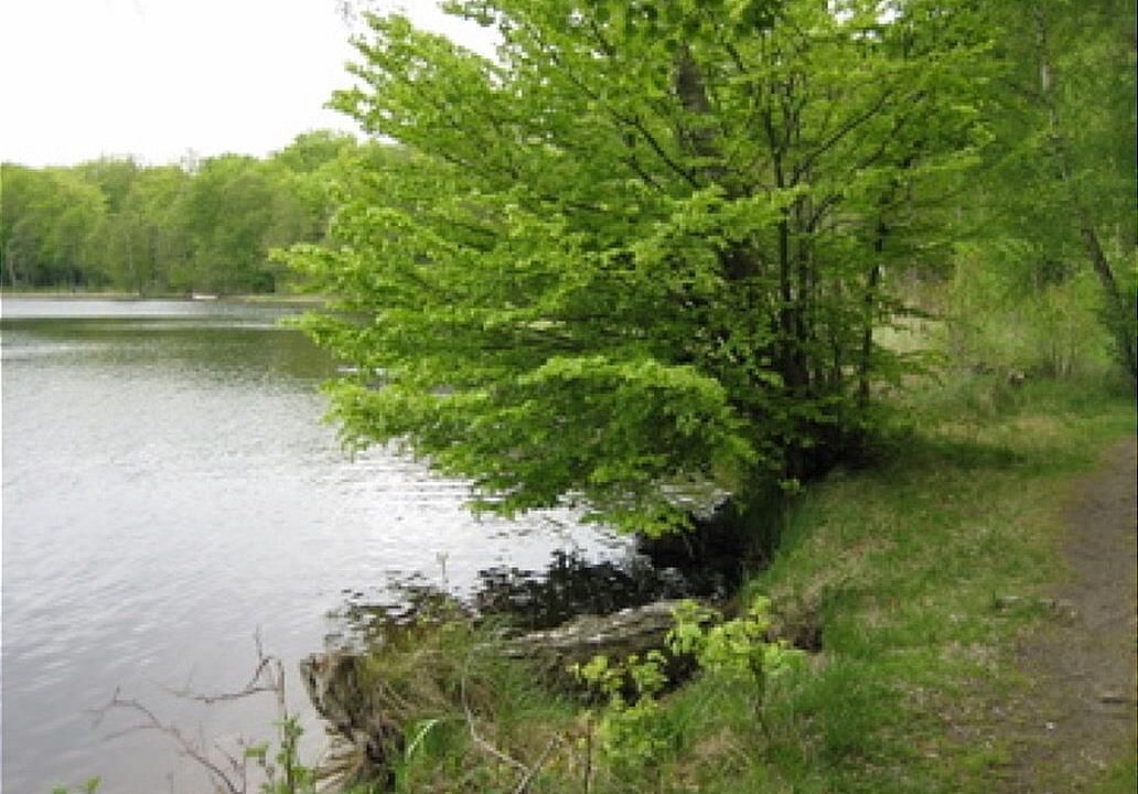 Photo of Outdoor in Linderod