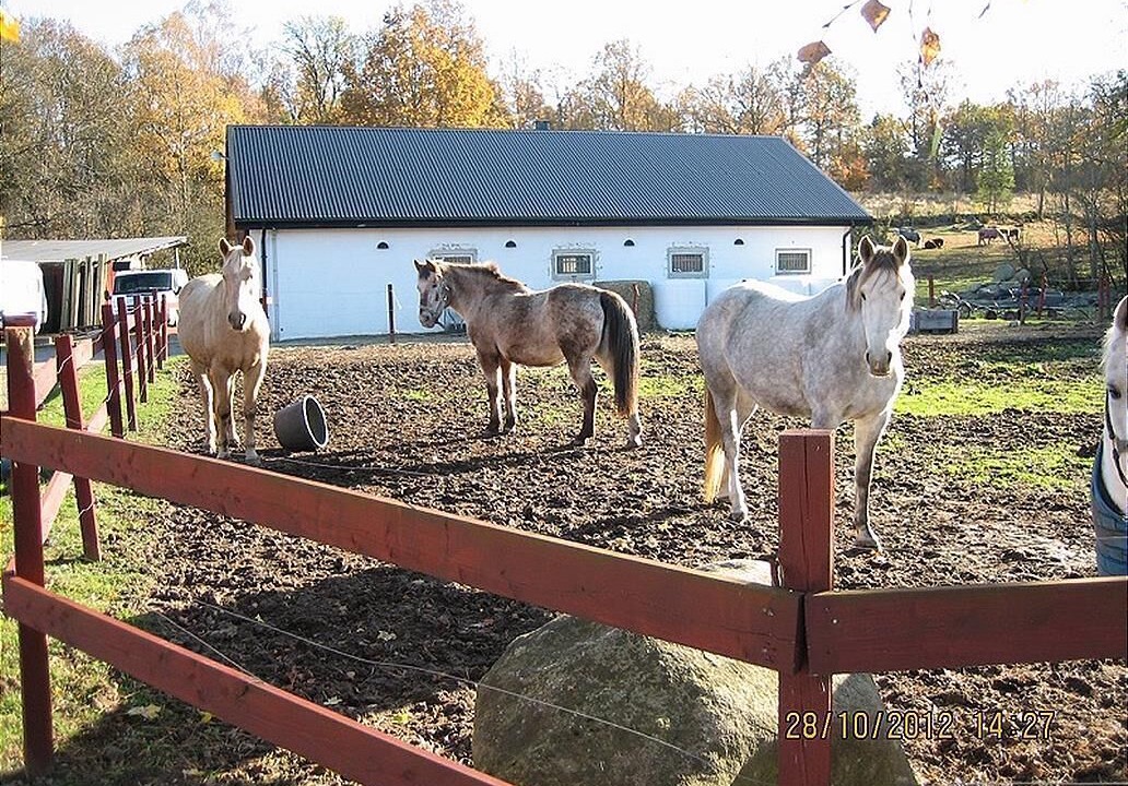 Photo of Outdoor in Linderod