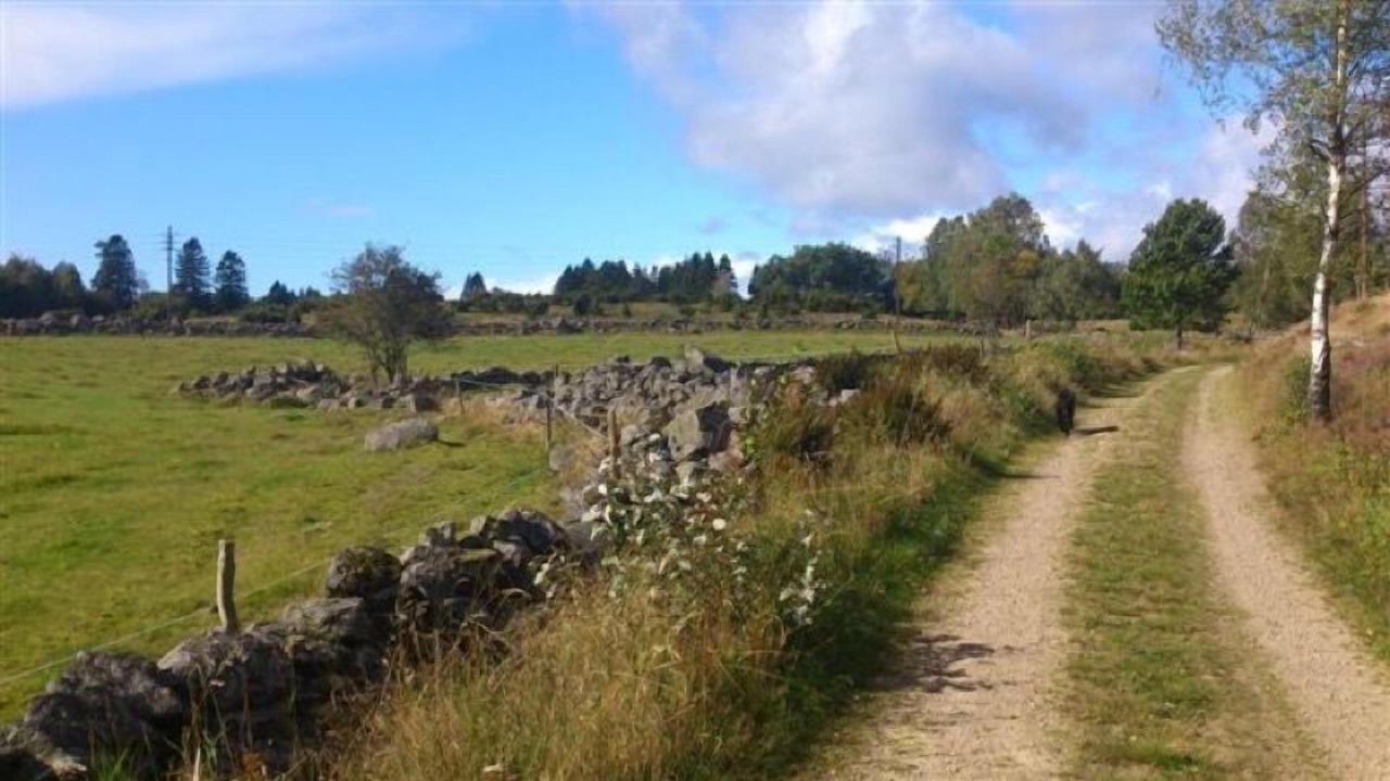 Photo of Outdoor in Linderod