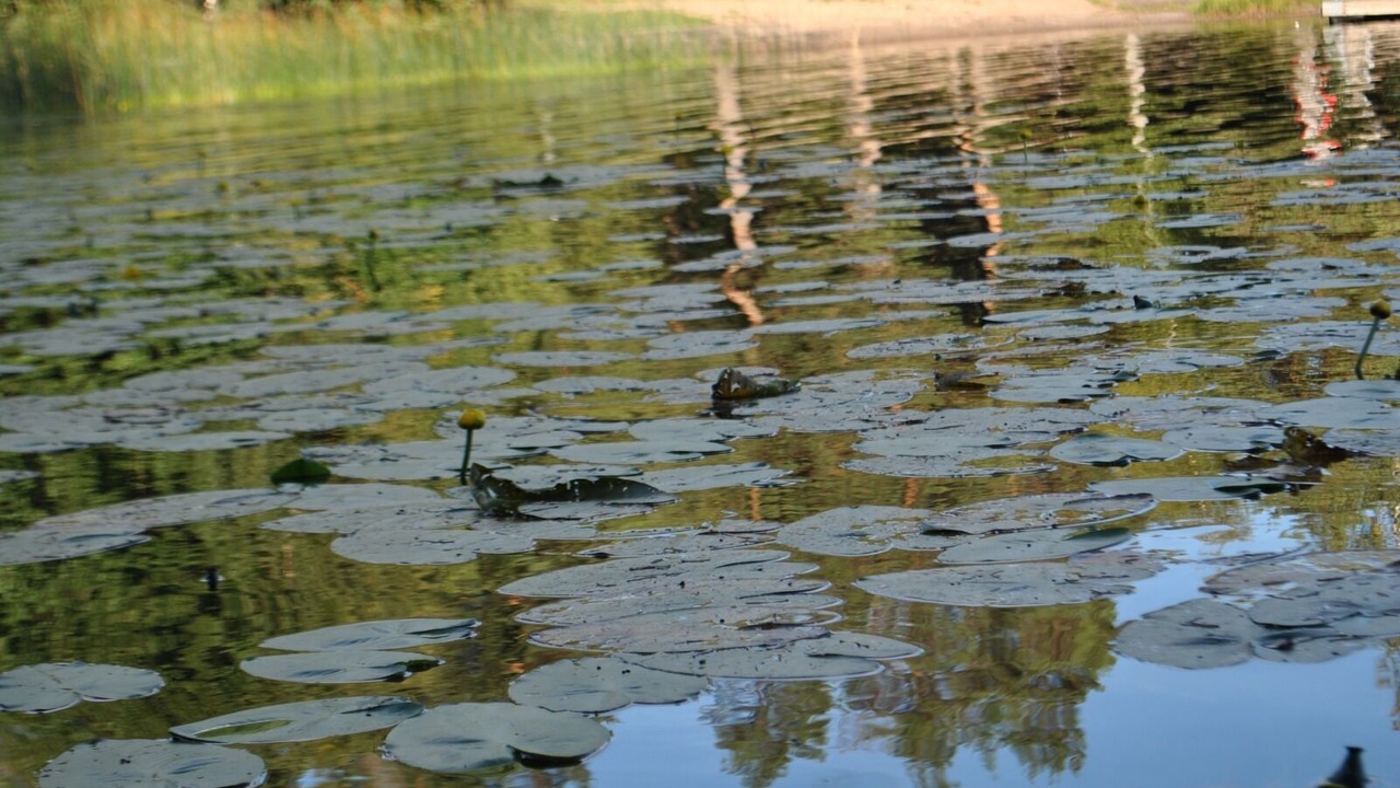 Photo of Outdoor in Bergshamra
