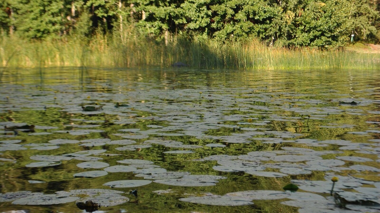 Photo of Outdoor in Bergshamra