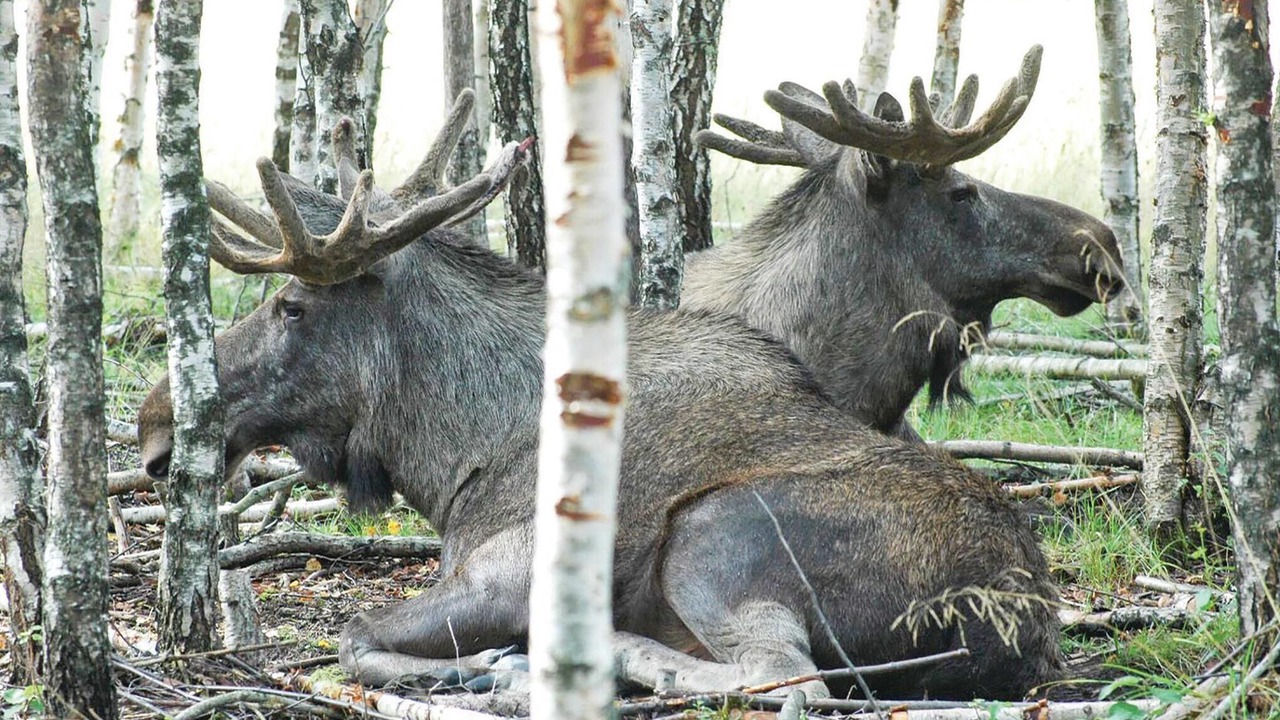 Photo of Others in Stoten