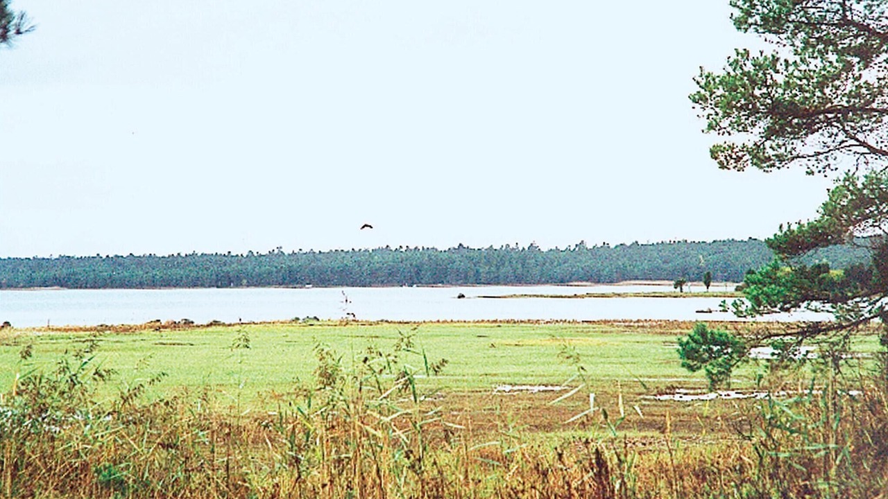 Photo of Others in Larbro