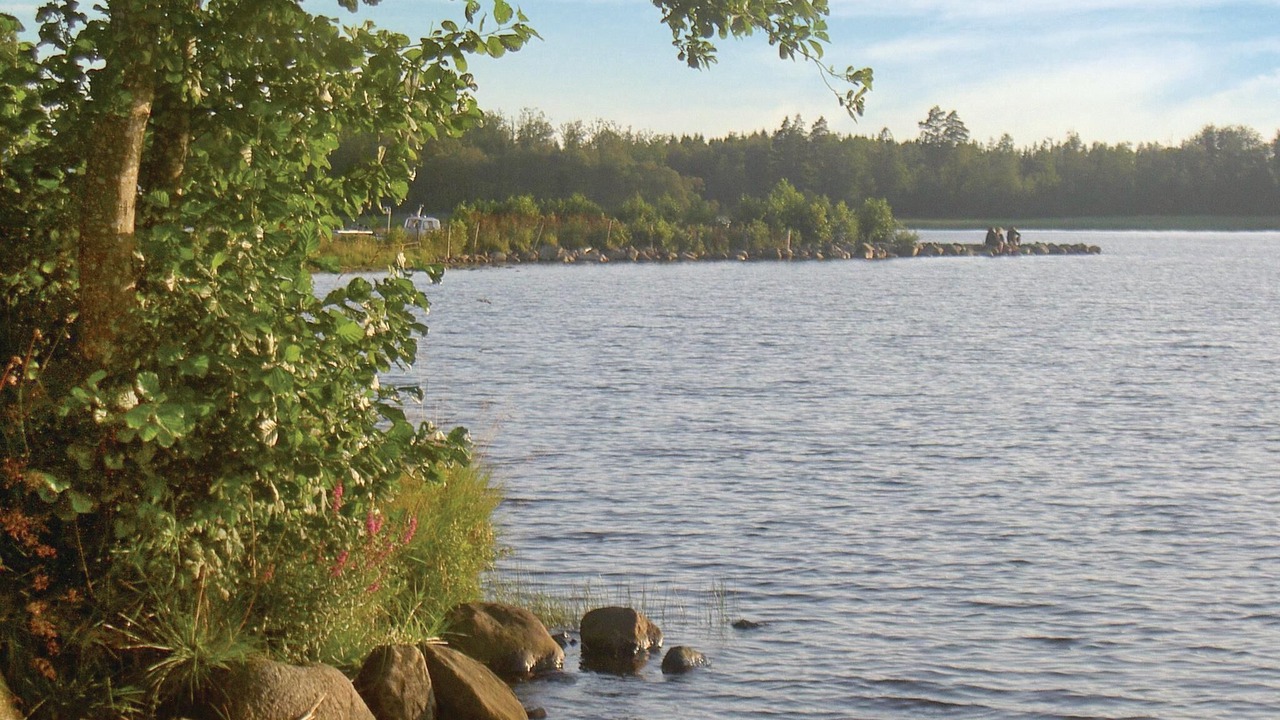 Photo of Others in Stavsjo