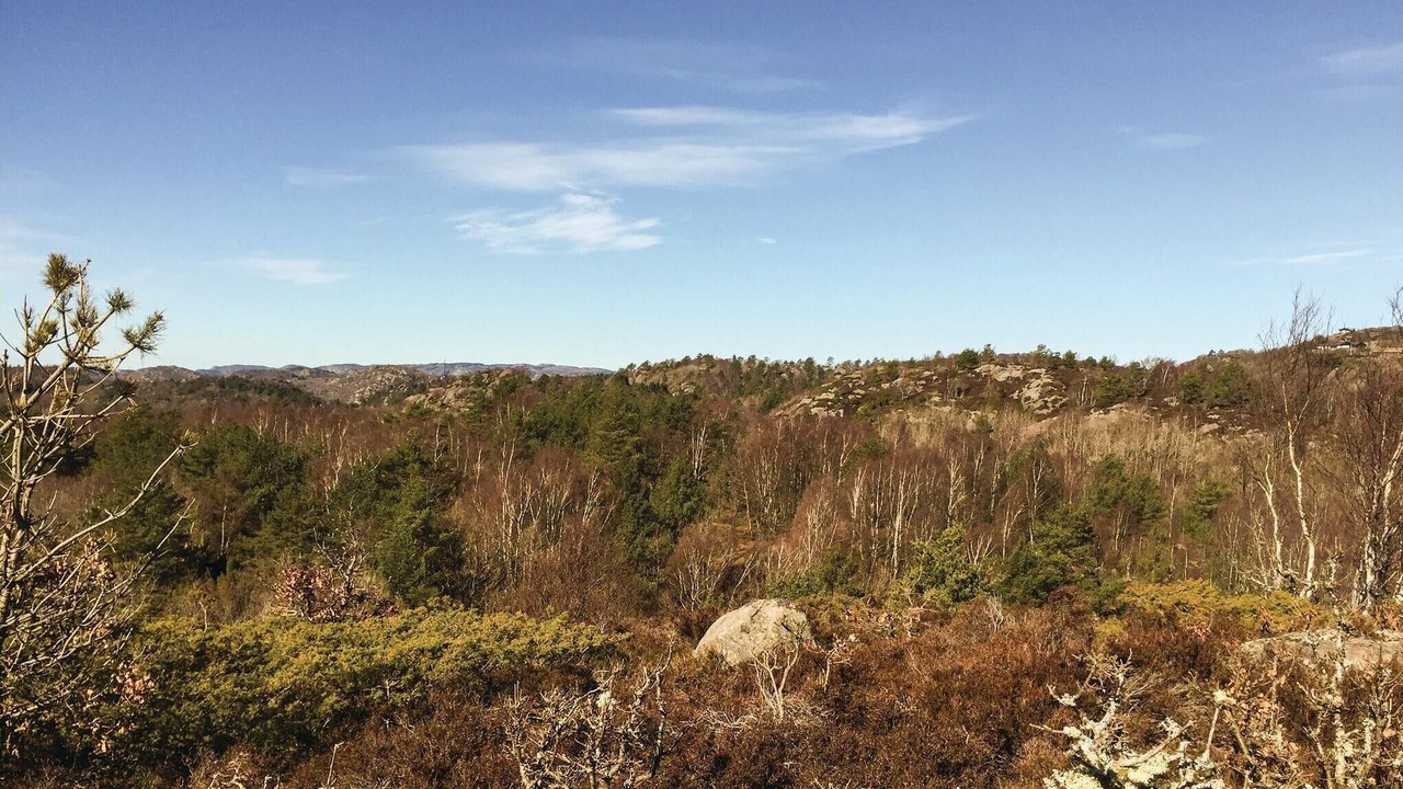 Photo of Others in Lyngdal