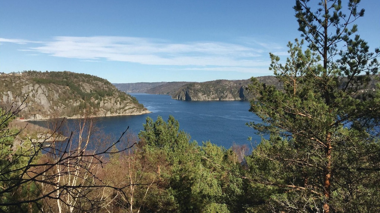 Photo of Others in Lyngdal