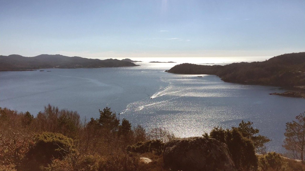 Photo of Others in Lyngdal
