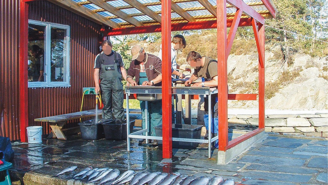 Photo of Others in Kvinnherad