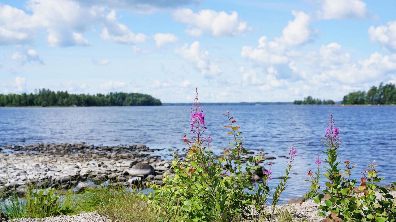 Photo of Others in Hovmantorp