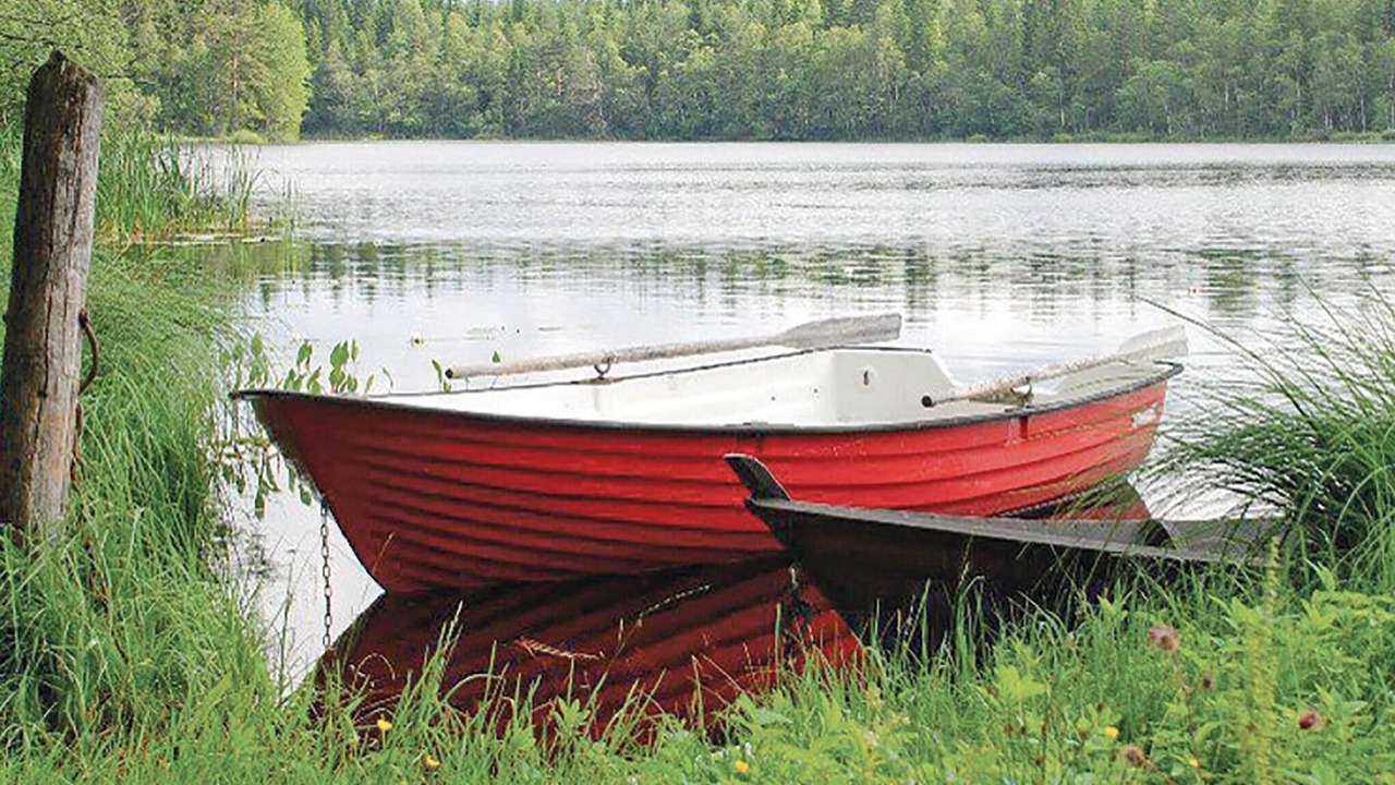 Photo of Others in Savsjo