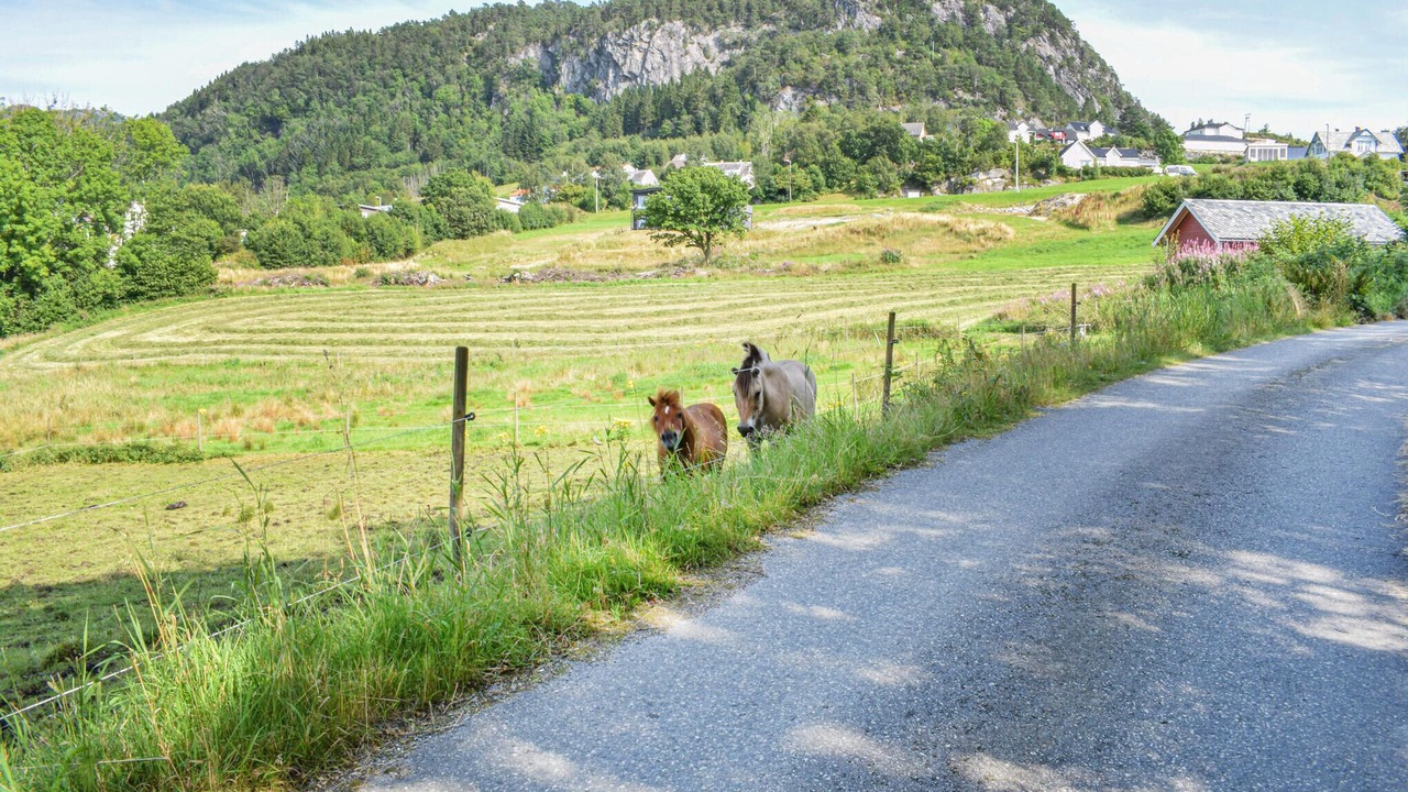 Photo of Others in Strandvik