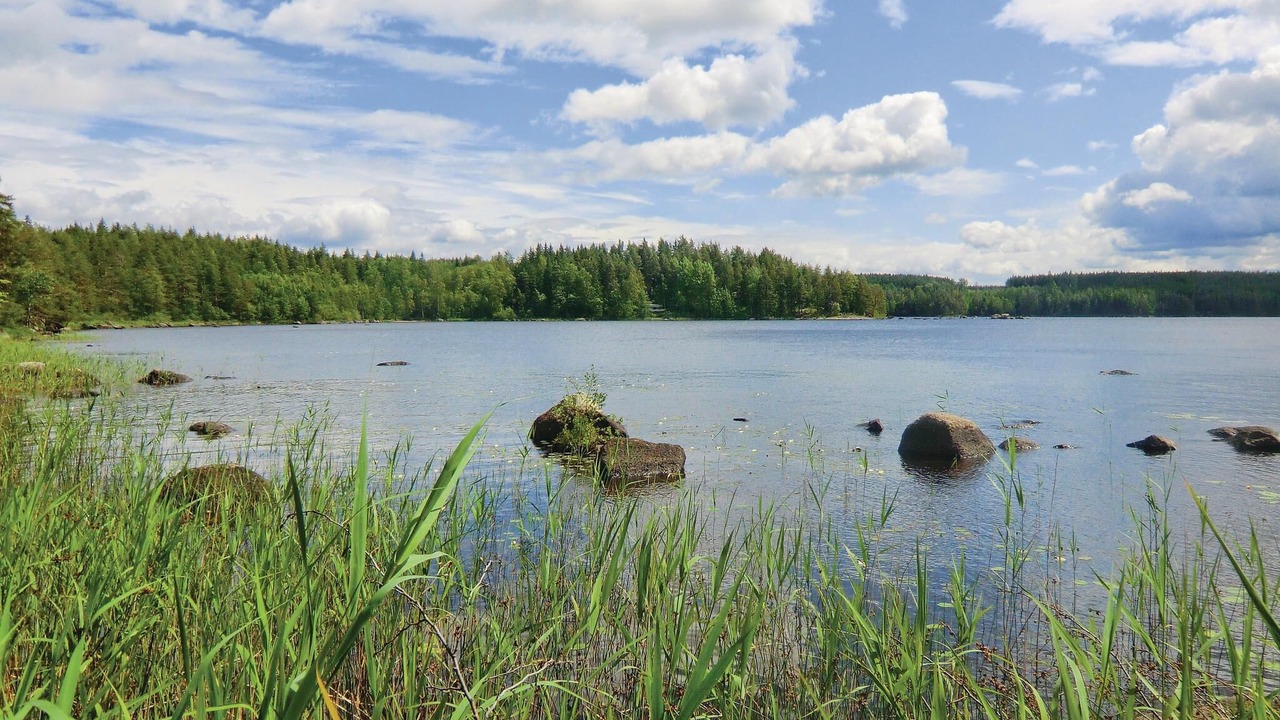 Photo of Others in Hultsfred Municipality