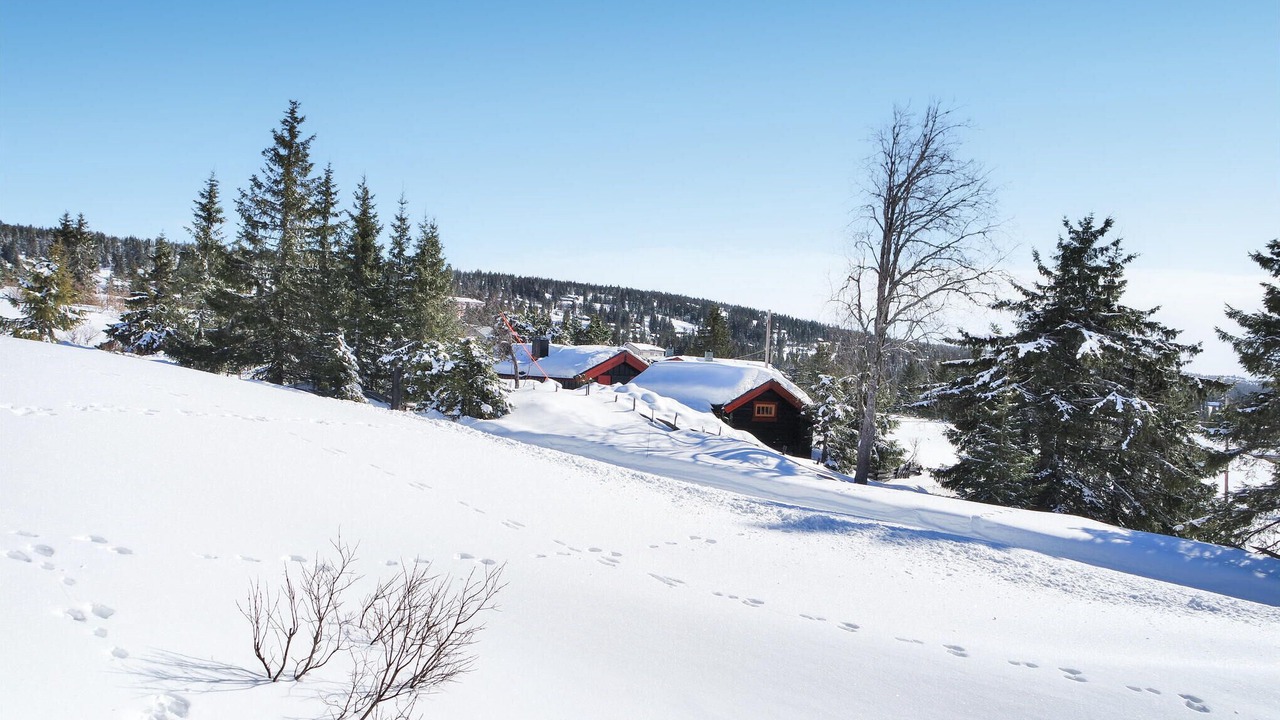 Photo of Others in Lillehammer