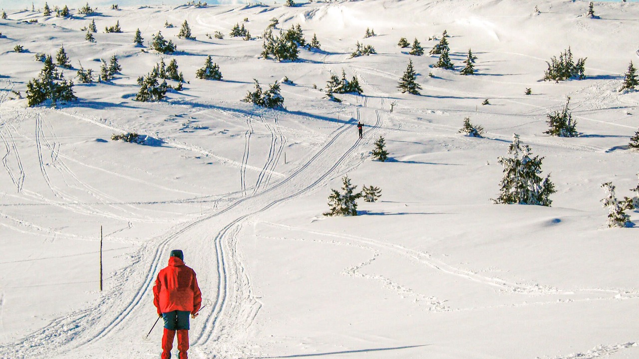 Photo of Others in Lillehammer