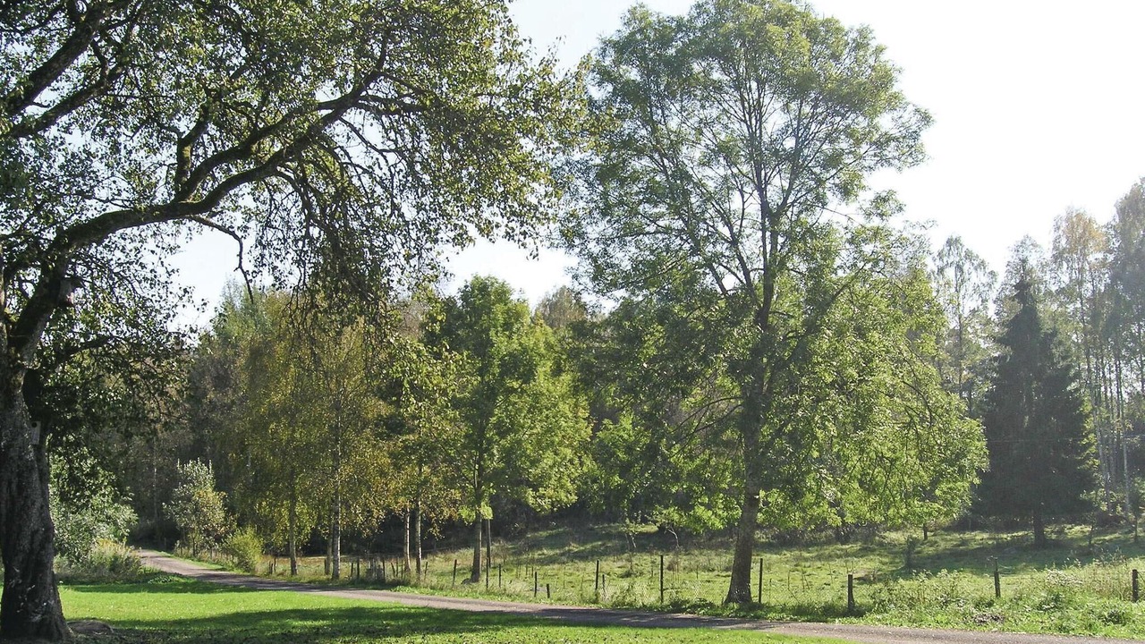 Photo of Others in Unnaryd