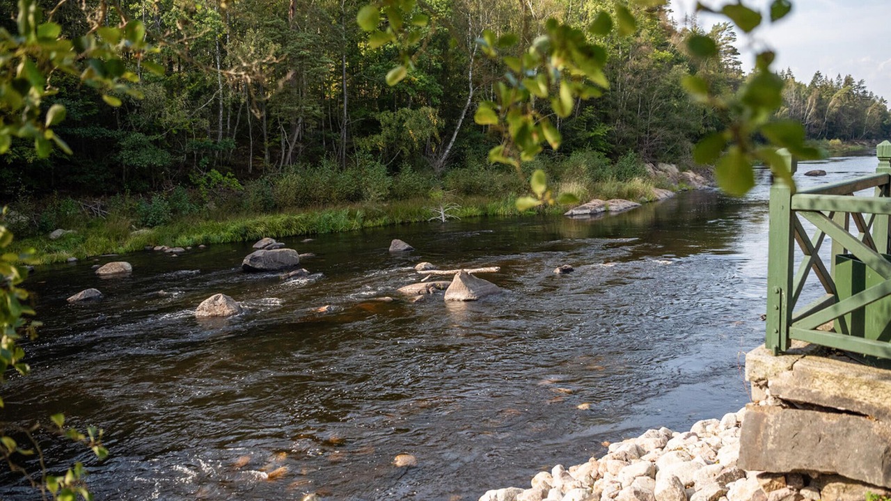 Photo of Others in Svangsta