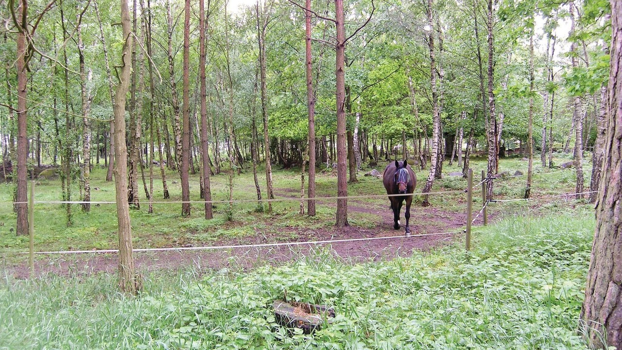 Photo of Others in Soderakra