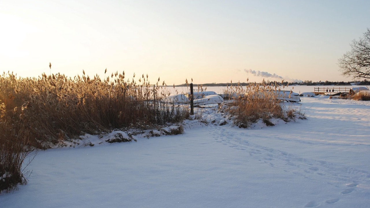 Photo of Others in Solvesborg