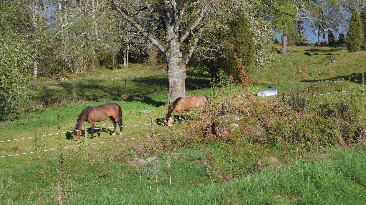Photo of Others in Eksjo