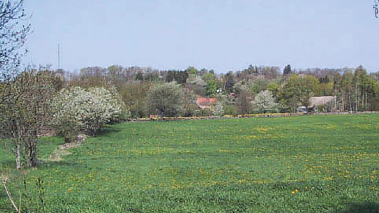 Photo of Others in Listarum
