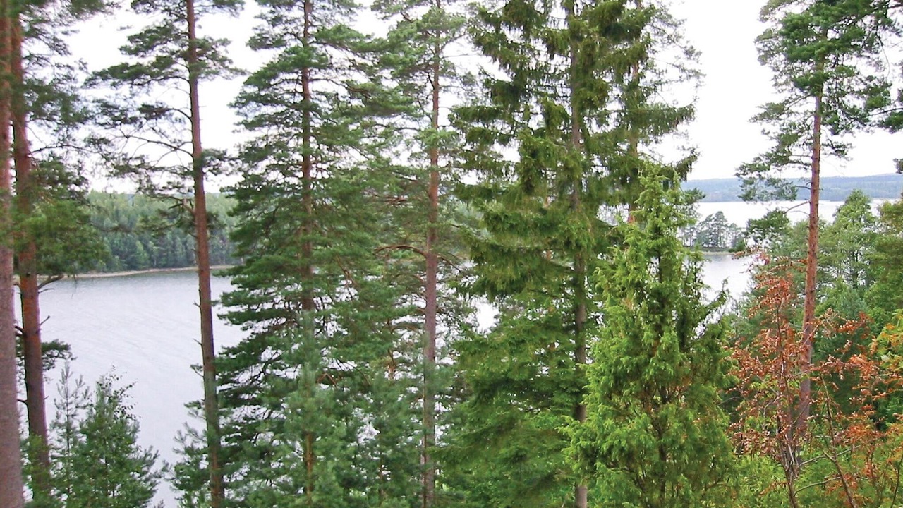 Photo of Others in Saljebyn