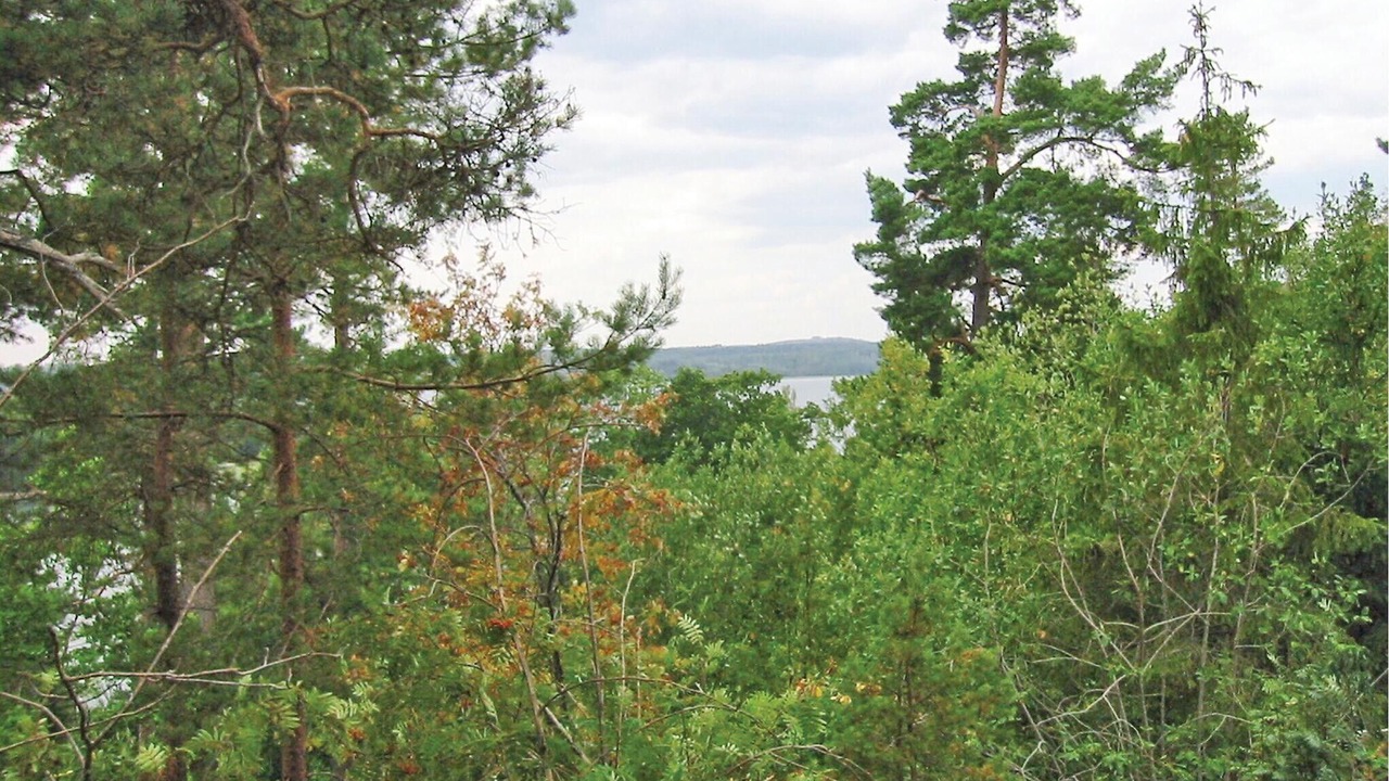 Photo of Others in Saljebyn