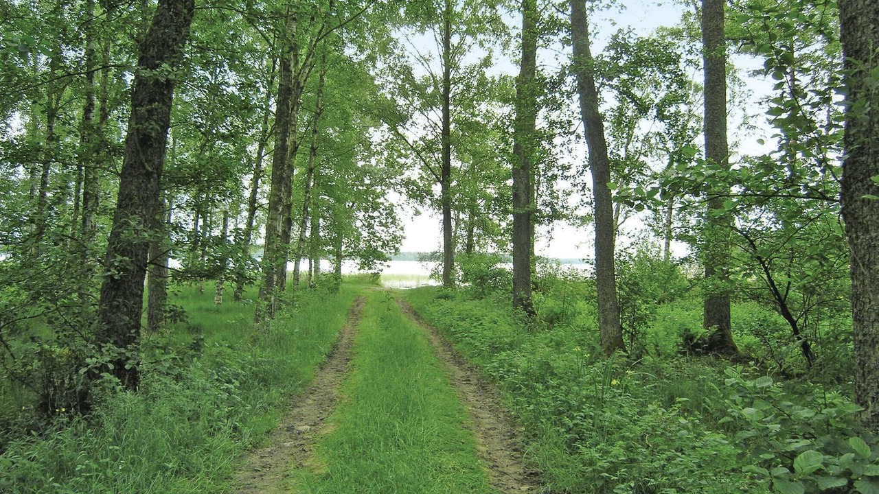 Photo of Others in Bolmso