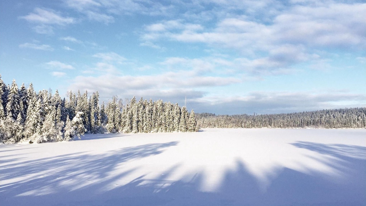 Photo of Others in Dalsjofors