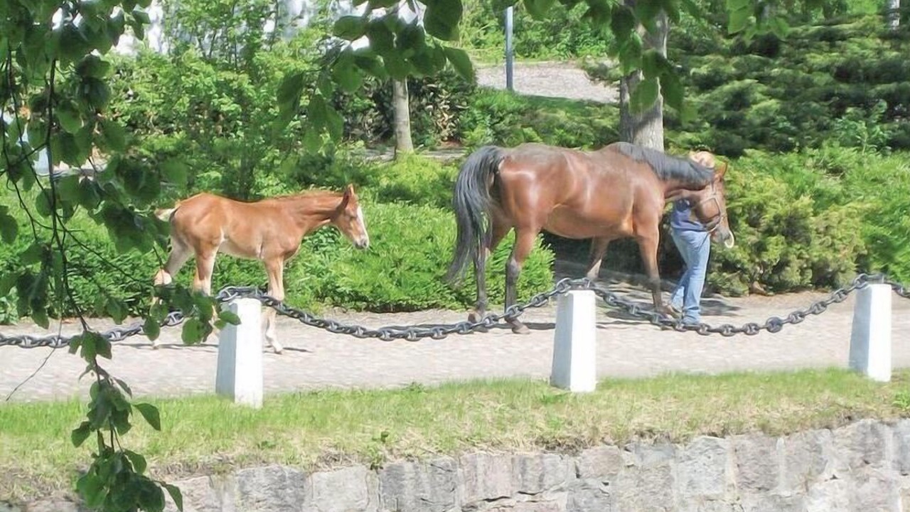 Photo of Others in Tomelilla