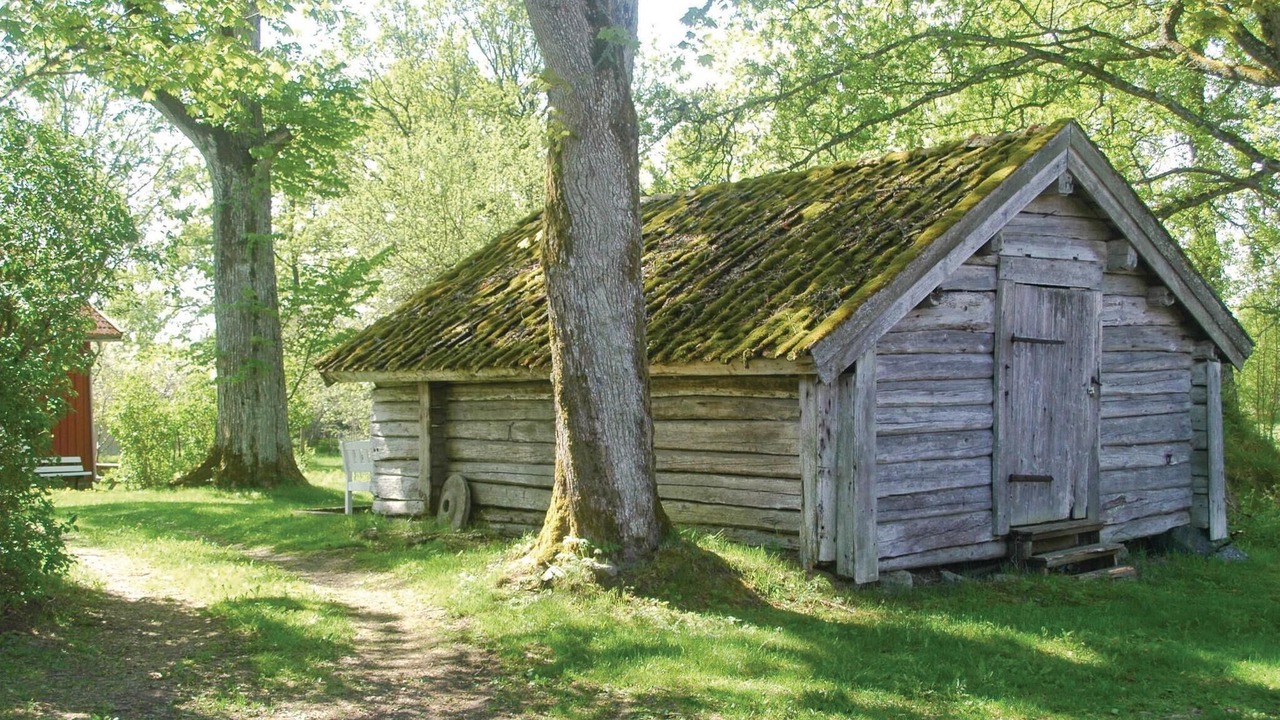 Photo of Others in Sorbo