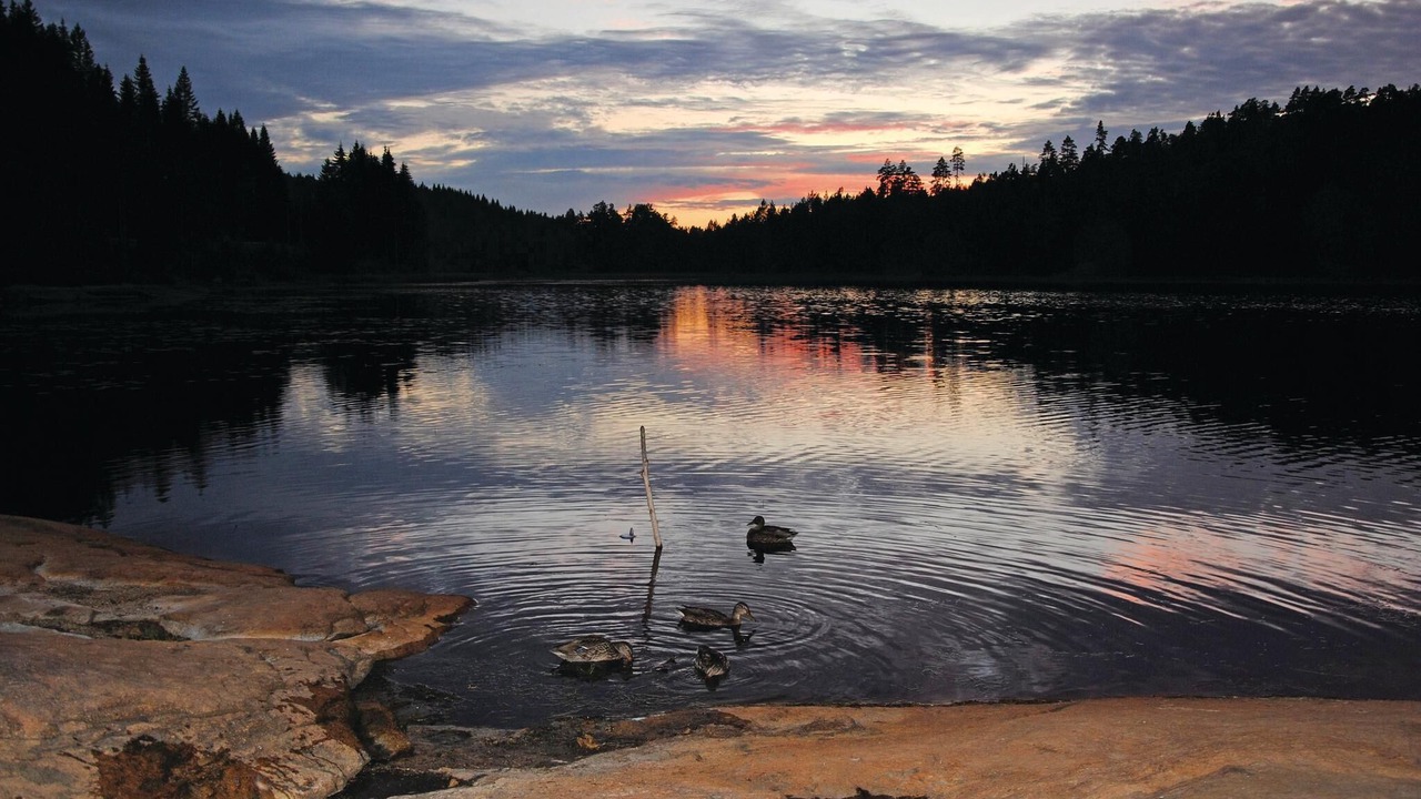 Photo of Others in Iveland Municipality