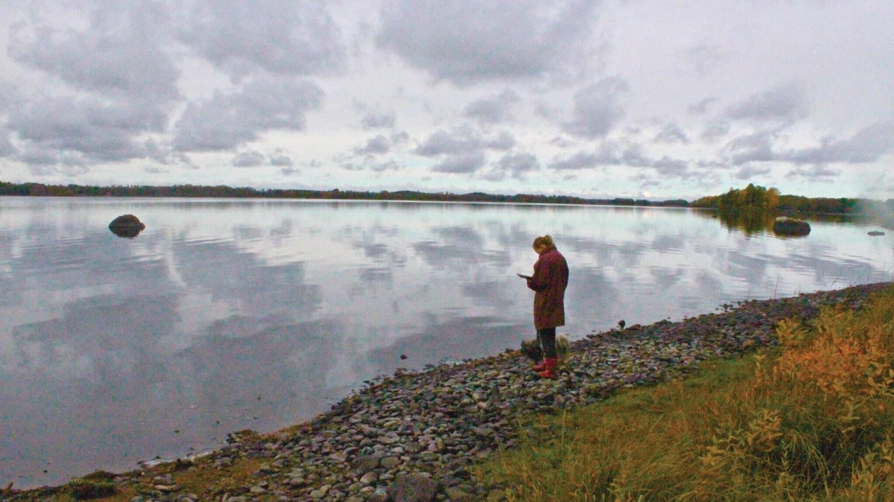 Photo of Others in Almhult