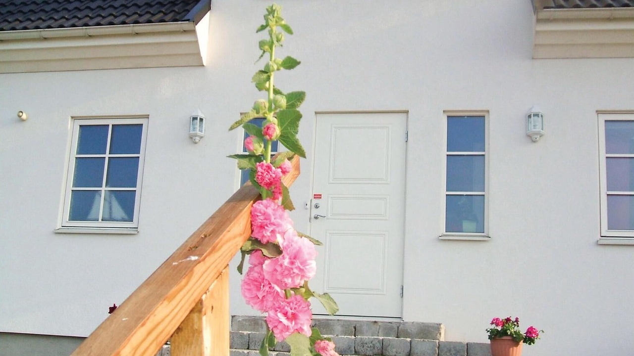 Photo of Others in Ystad