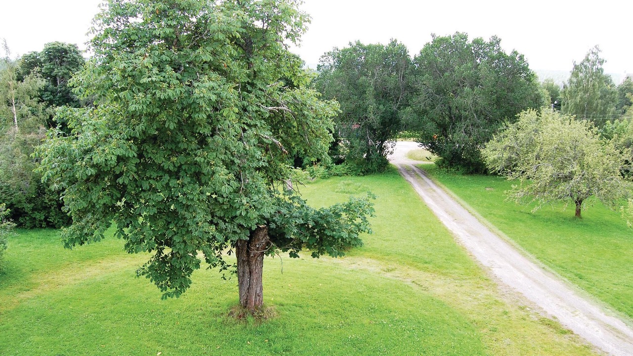 Photo of Others in Vintjarn