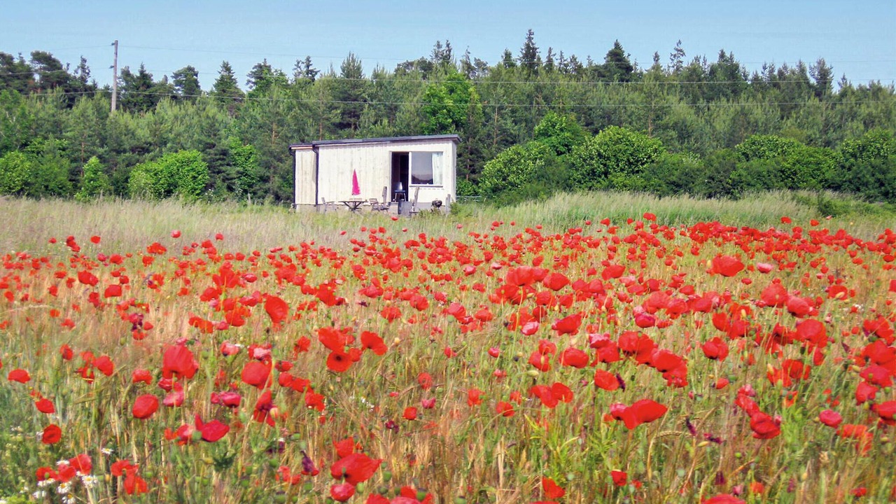 Photo of Others in Klintehamn