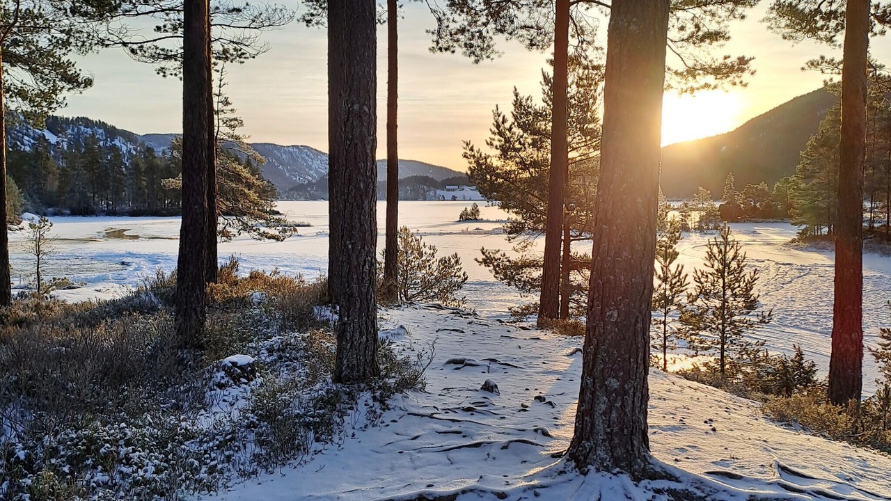 Photo of Others in Øvre Ramse