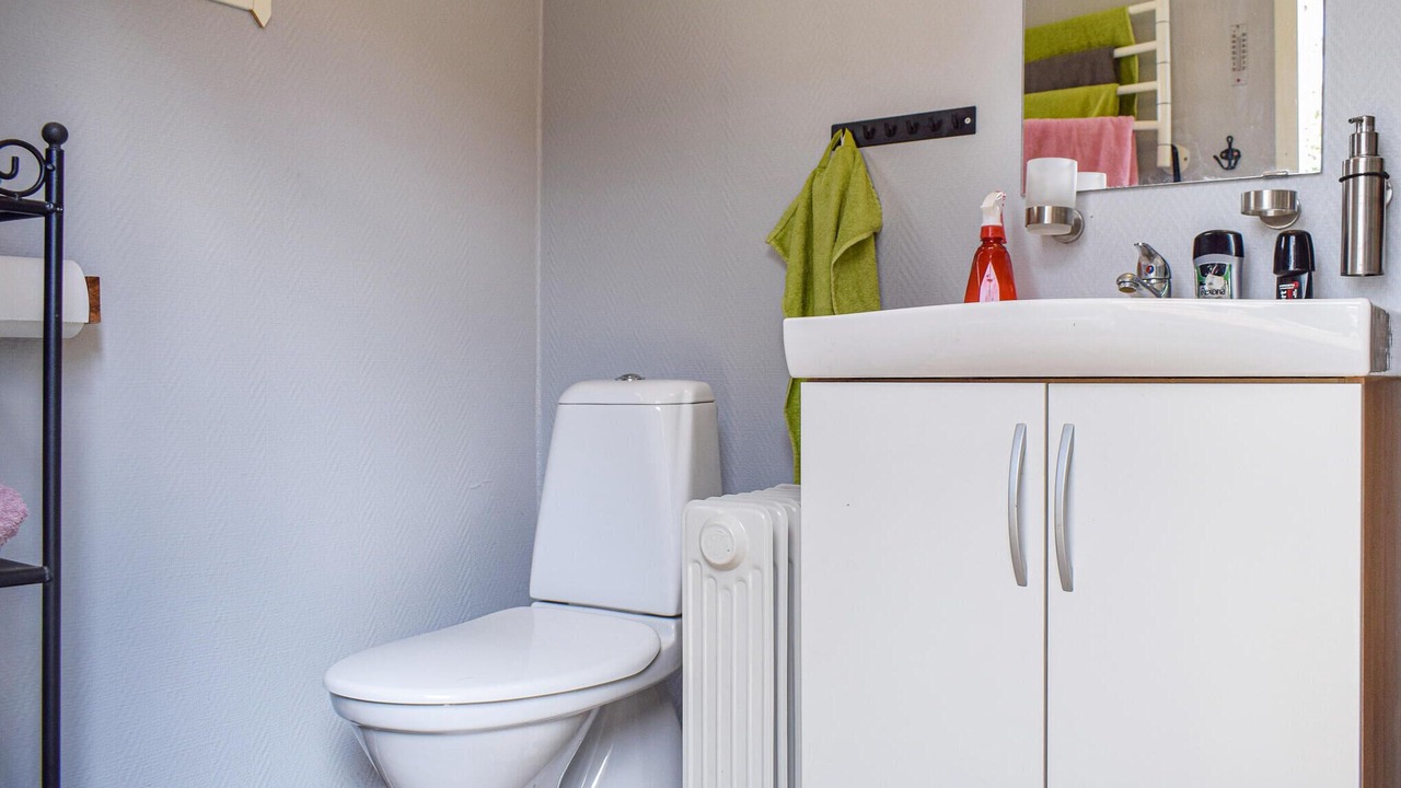 Photo of Bathroom in Torsas Municipality