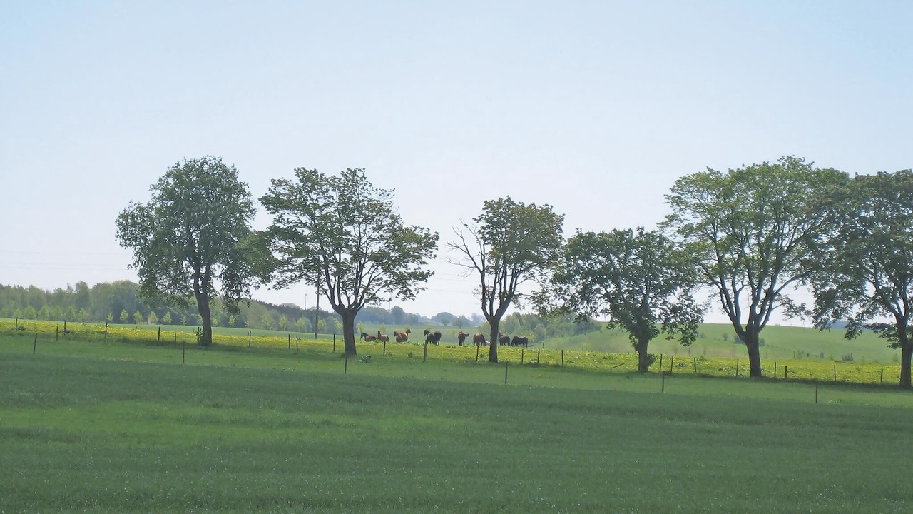 Photo of Others in Bollerup