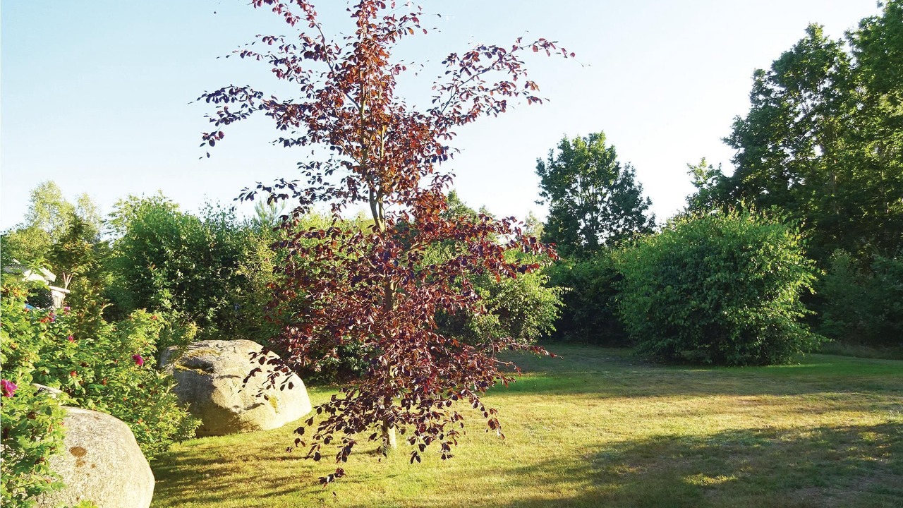 Photo of Others in Solvesborg
